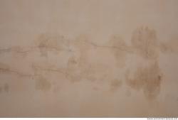 Photo Textures of Wall Plaster